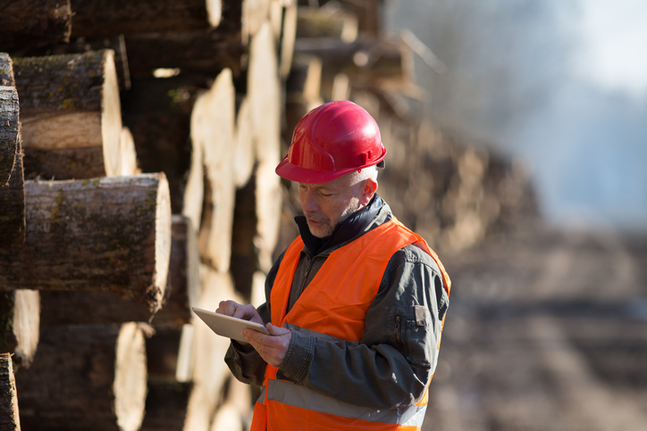 forestry industry manager outside monitoring log stacking
