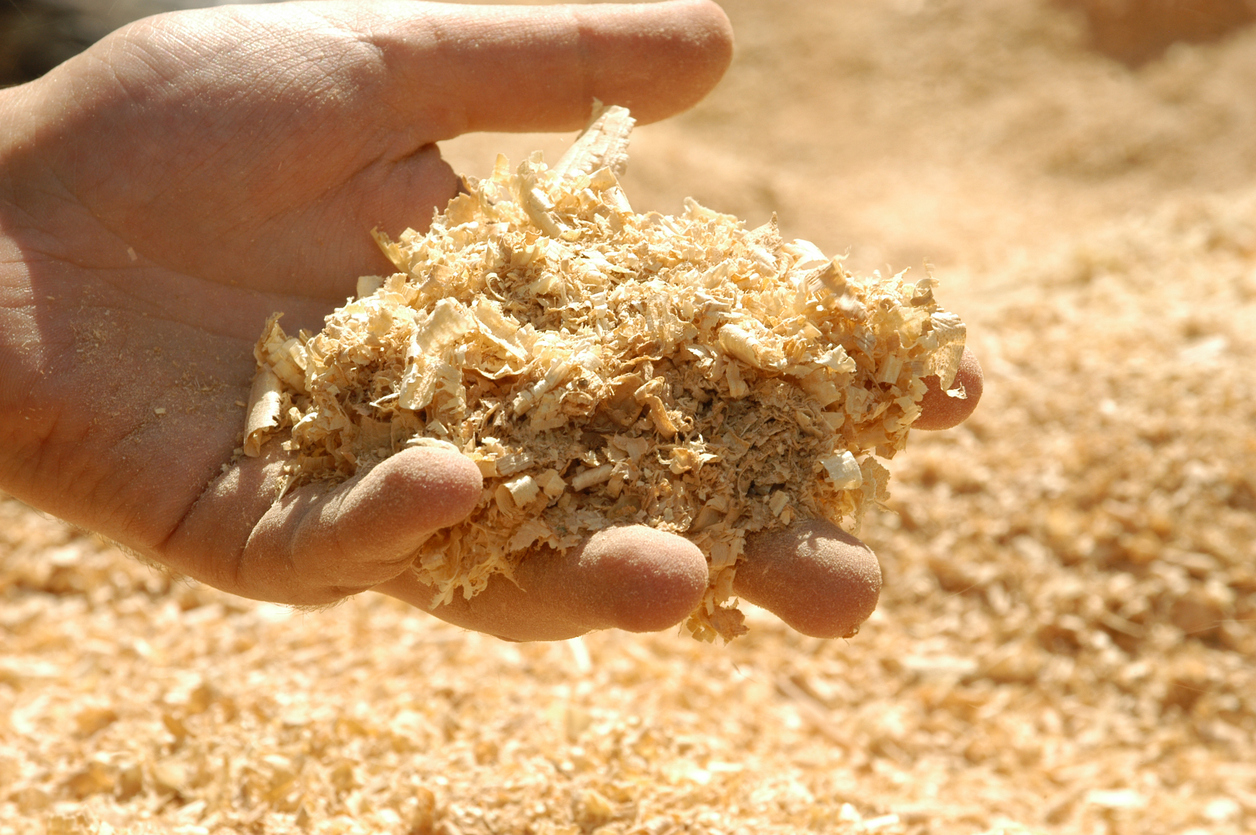 Revolutionizing Pulp & Paper: How Webster is Transforming Horizontal ...